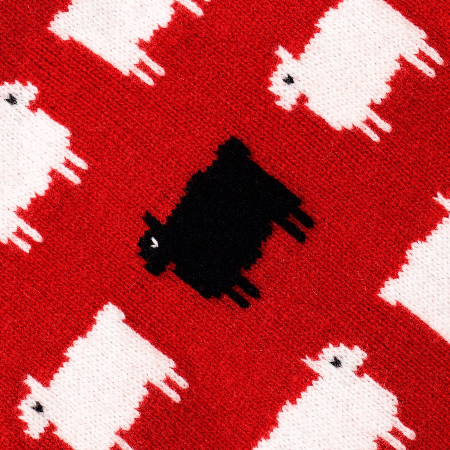 Warm & Wonderful x Rowing Blazers Men's Sheep Sweater