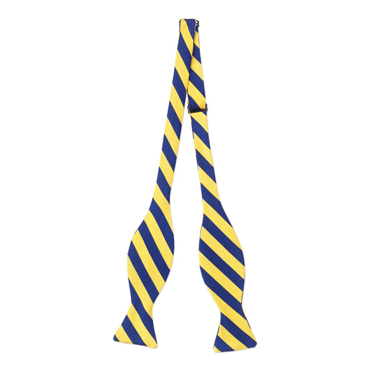 Gold And Navy Bow Tie