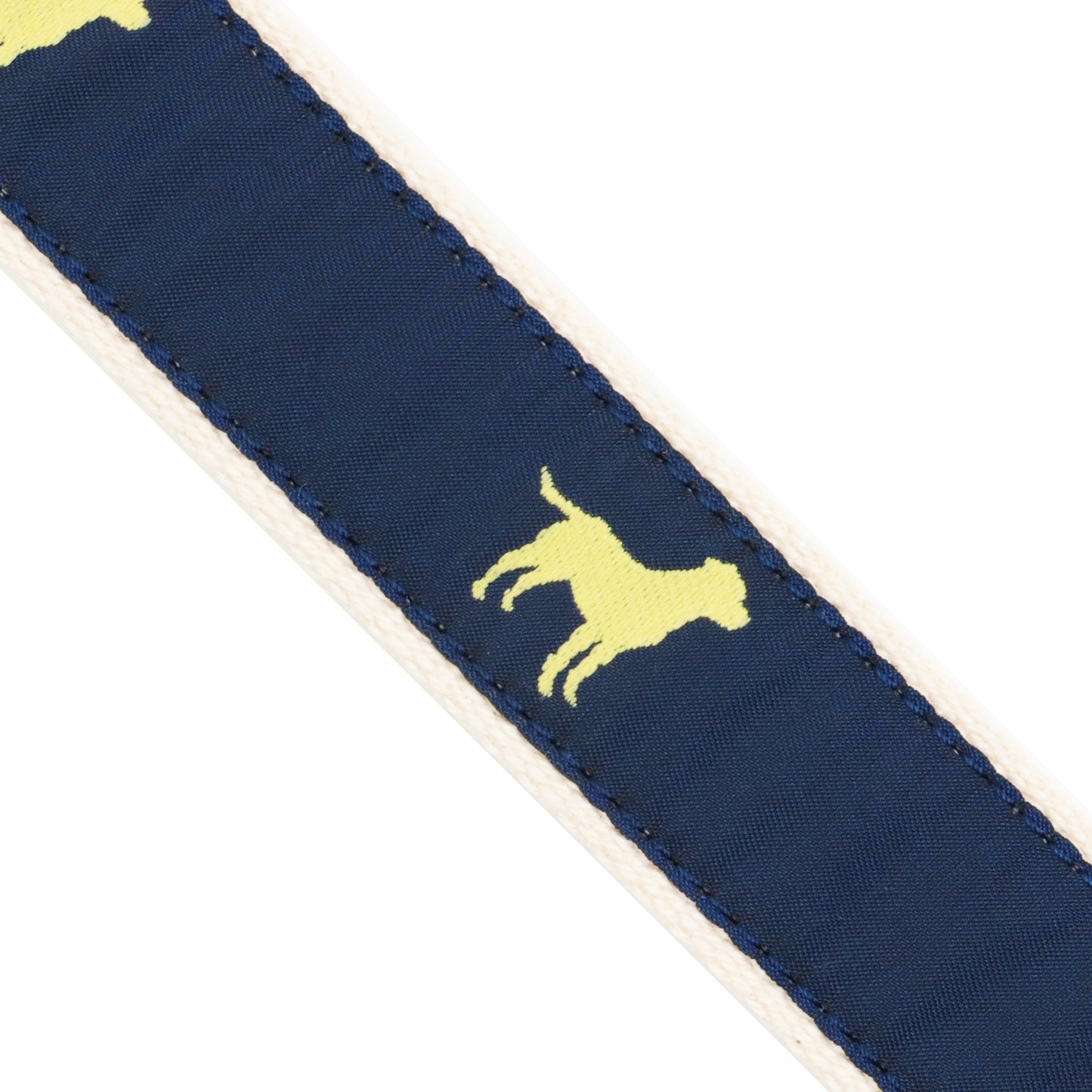 Webbed Dogs Belt