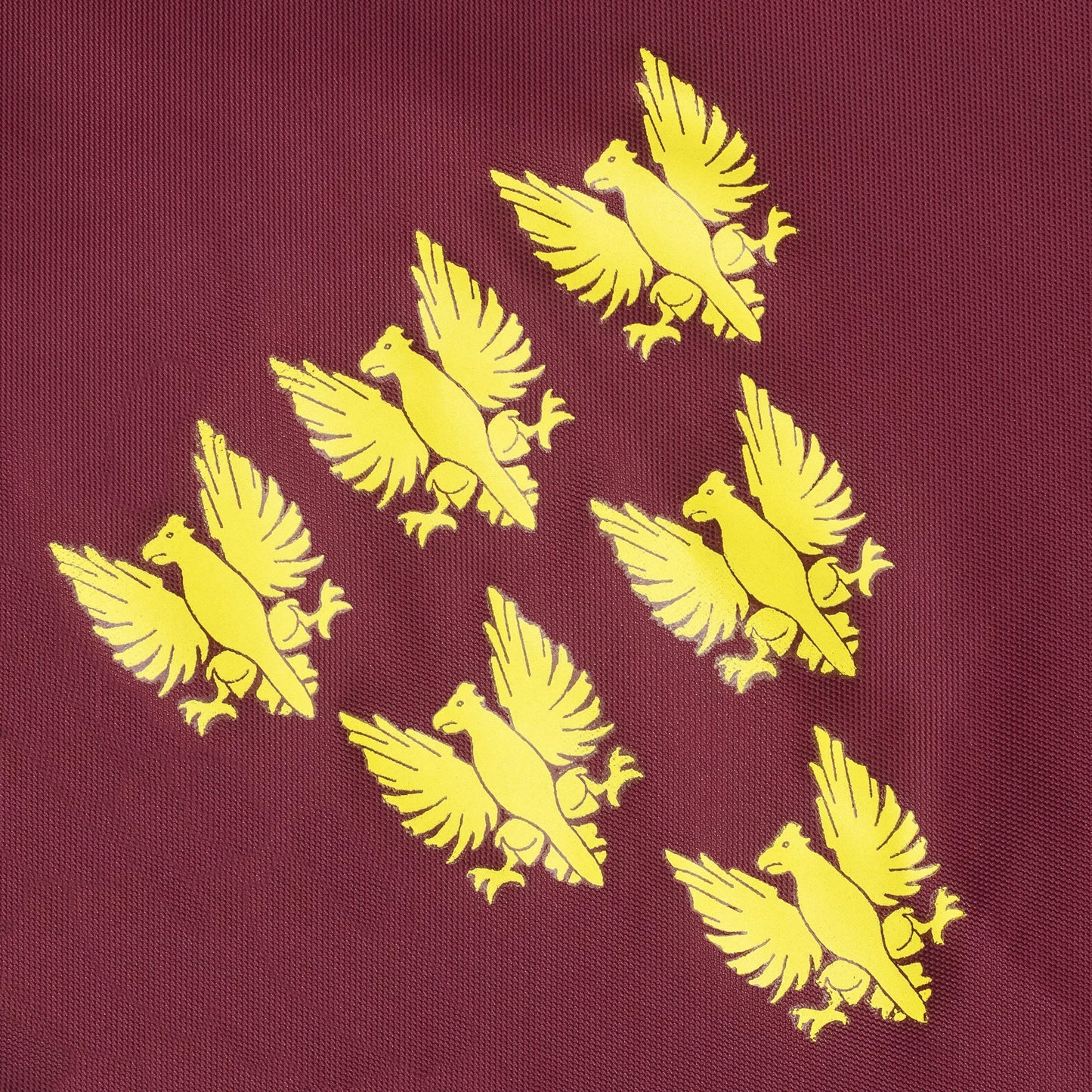 Burgundy Eagles Coach's Jacket