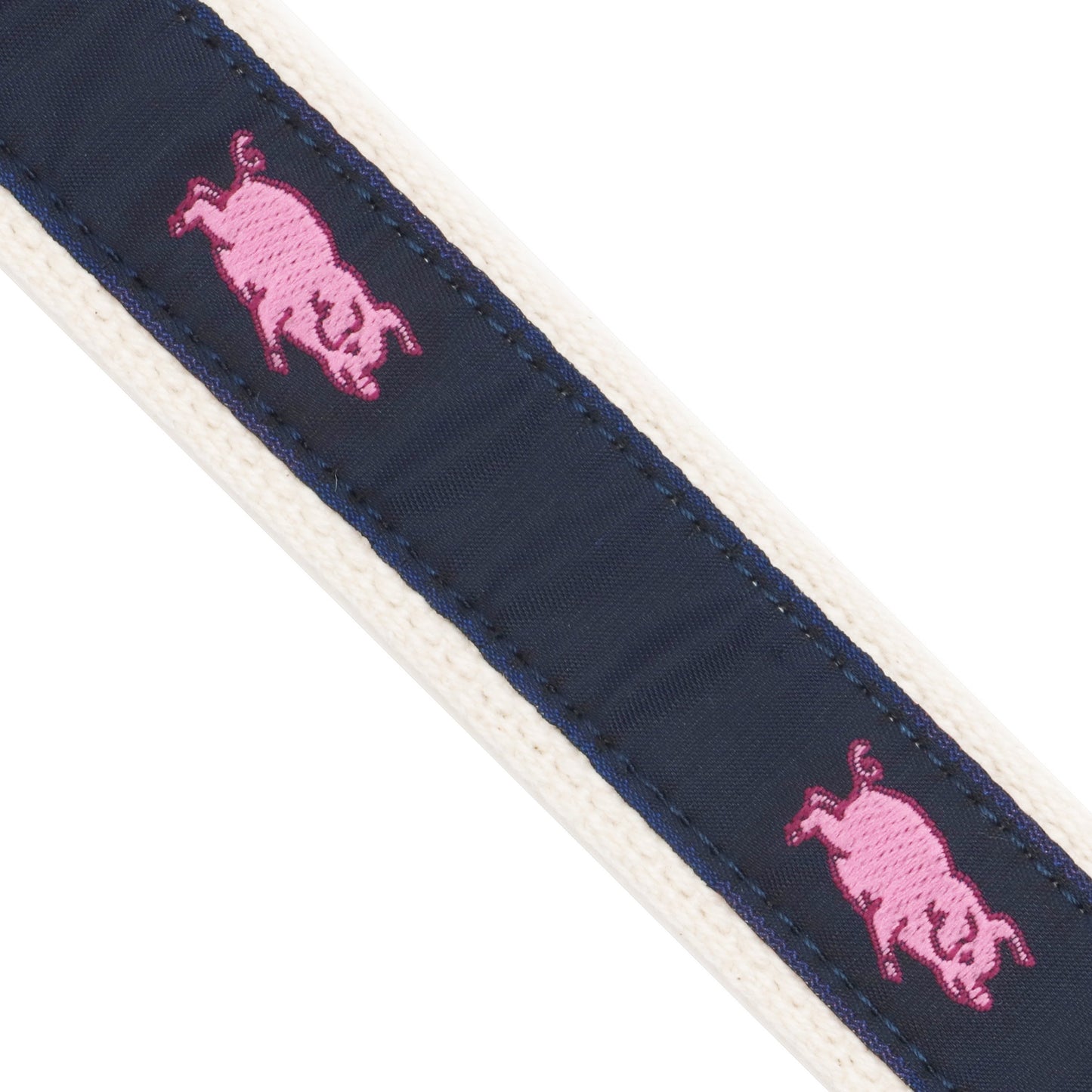 Webbed Pigs Belt