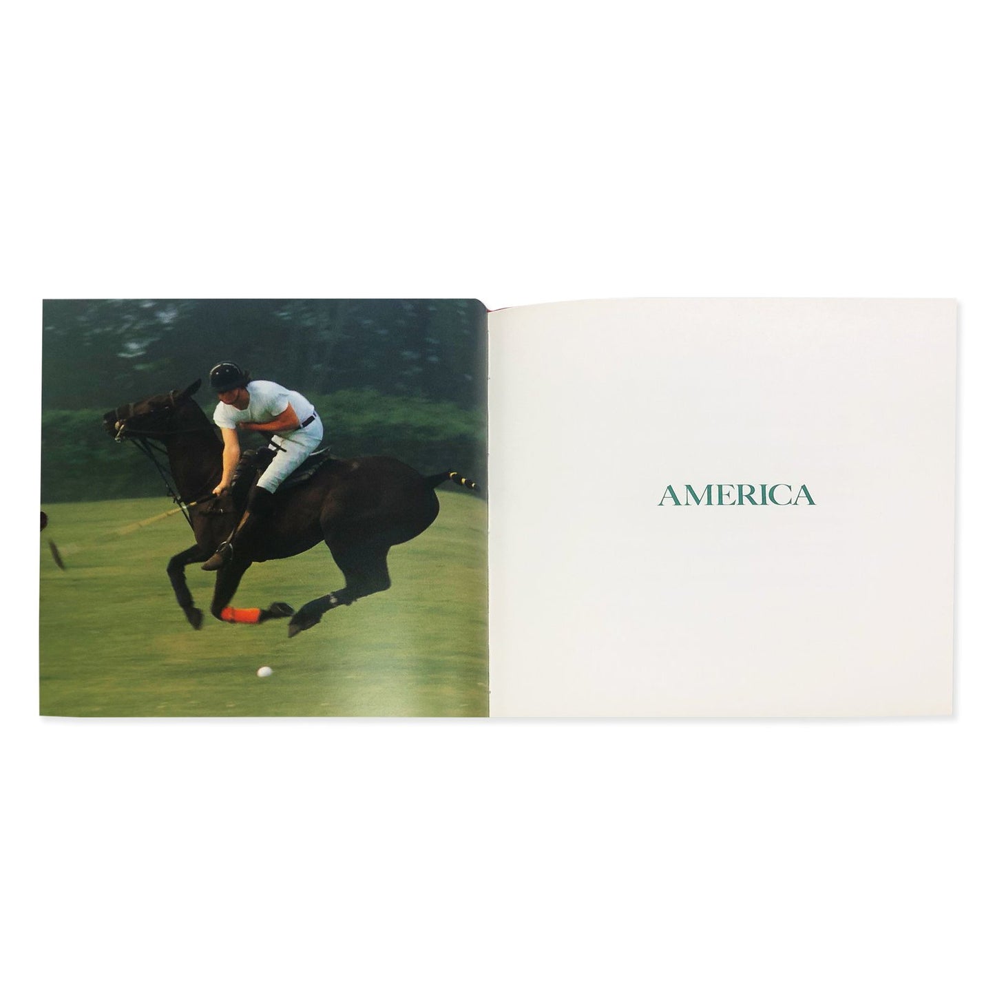 World Guide to Polo Clubs