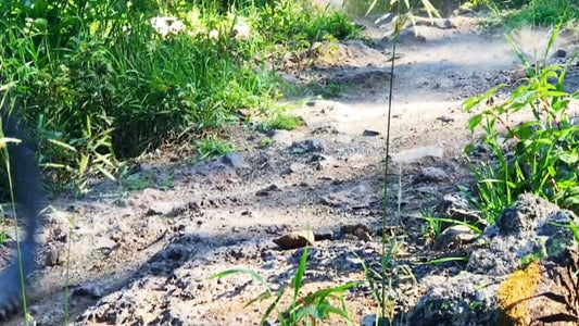 Warm & Wonderful x Rowing Blazers Women's Sheep Sweater