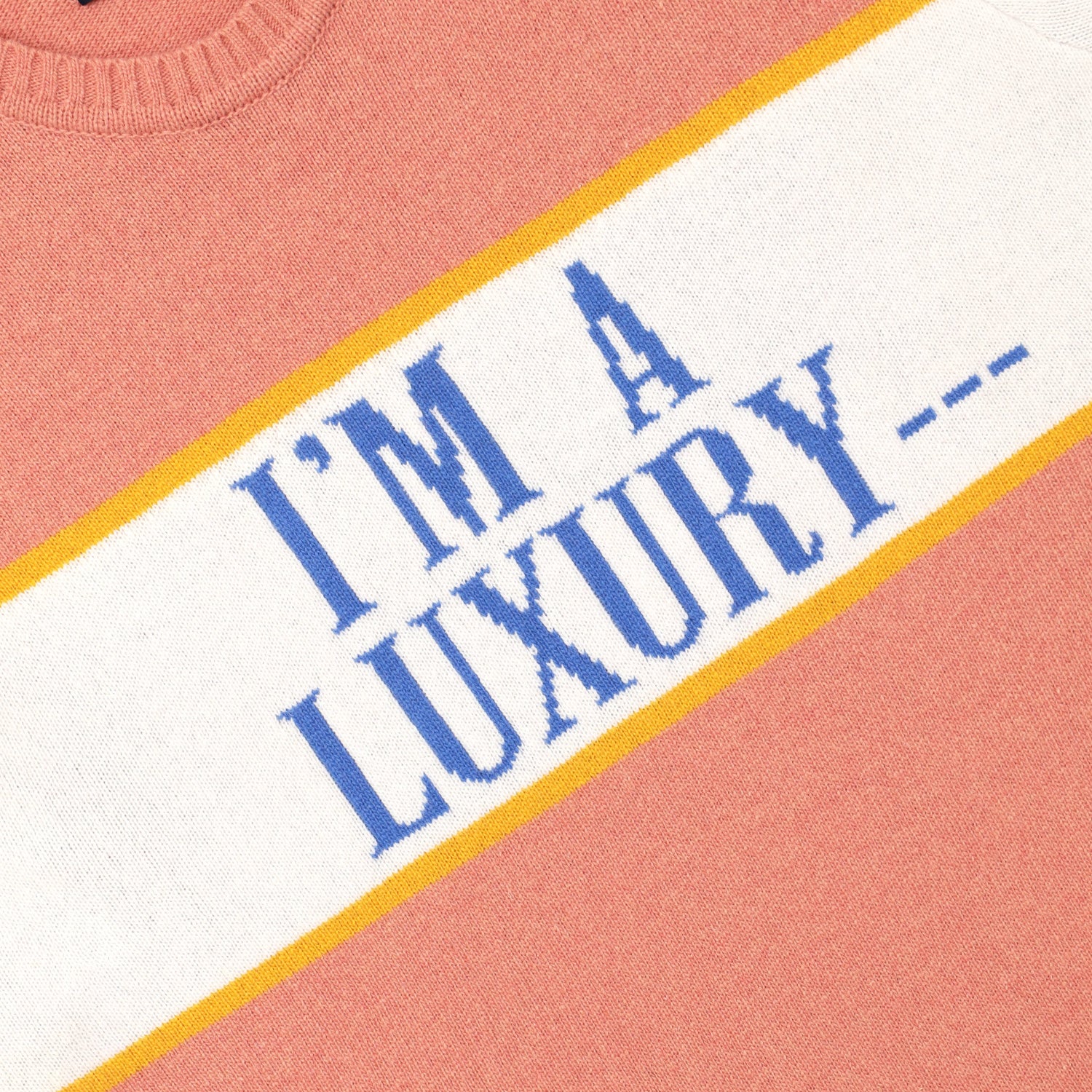 Detail of "I'M A LUXURY ---".