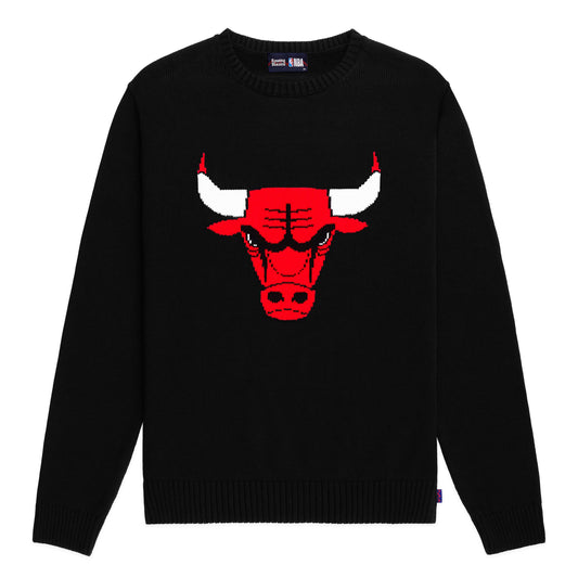 Rowing Blazers x NBA Chicago Bulls Logo Sweater