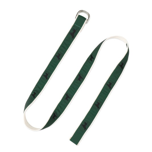 Webbed Dogs Belt