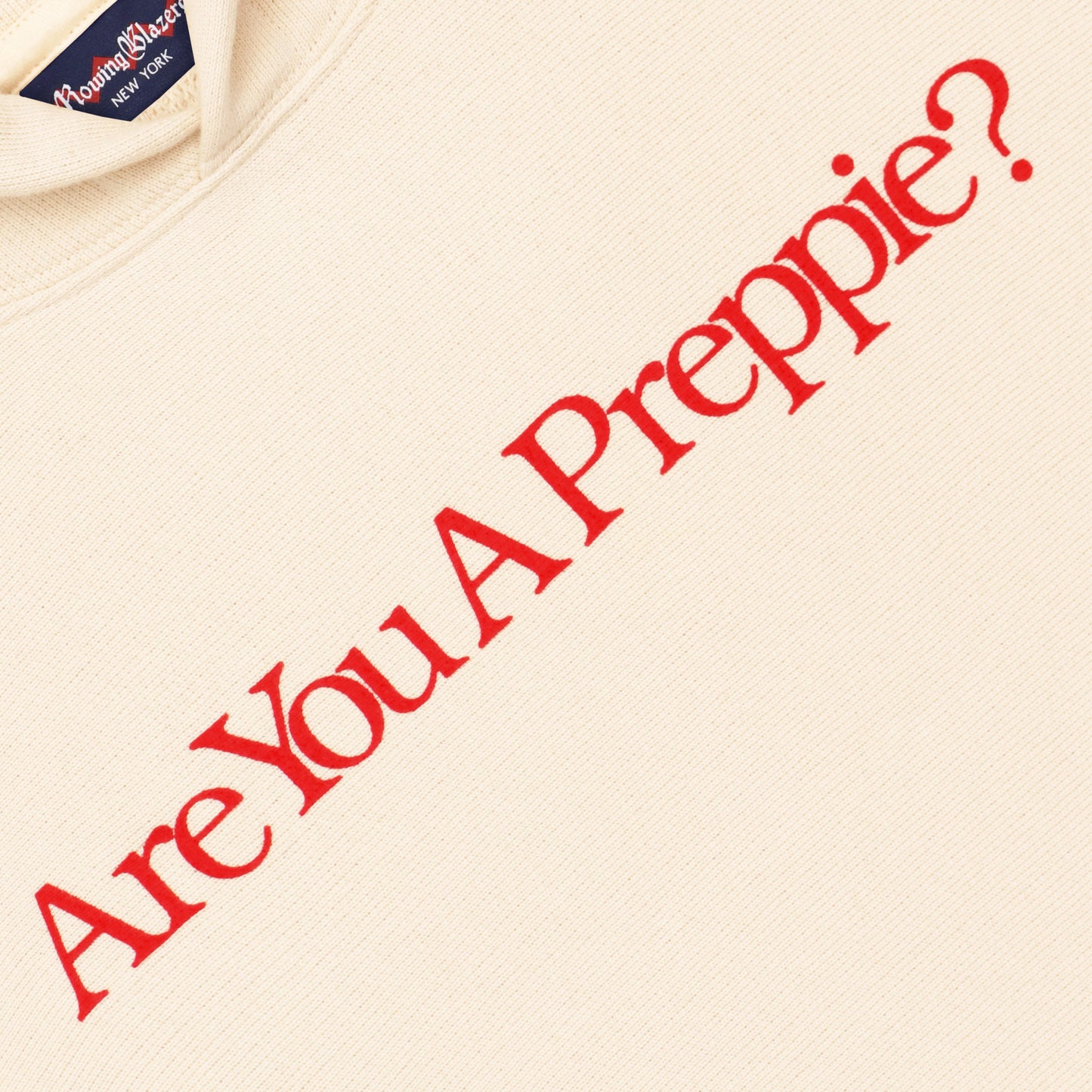 "Are You a Preppie?" Hoodie